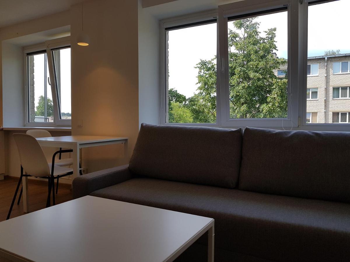 Anyksciai Cozy Studio Exterior foto